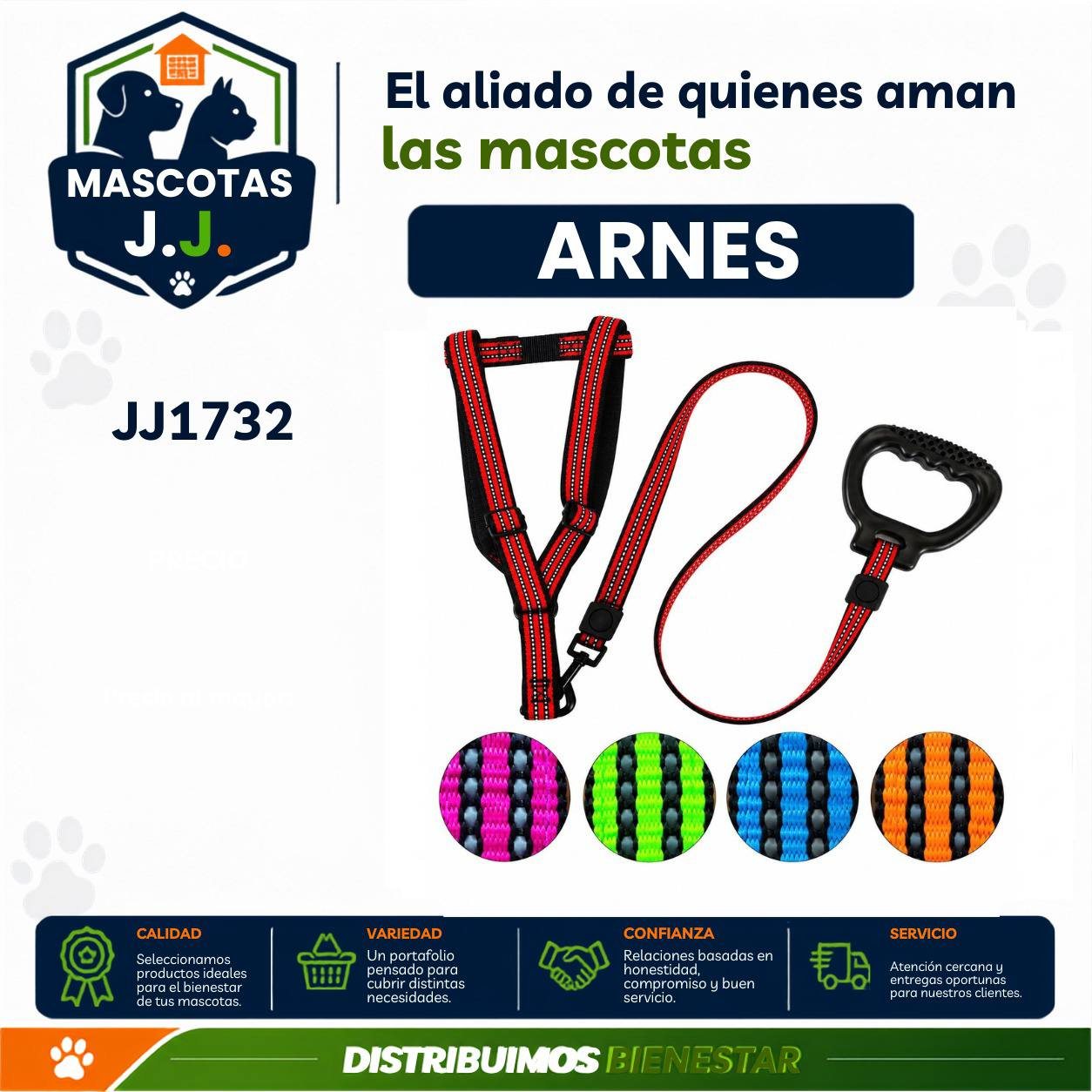 ARNES CON LAZO